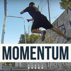 Momentum